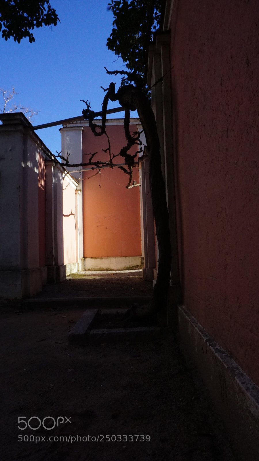 Sony a6000 sample photo. Untitled photography