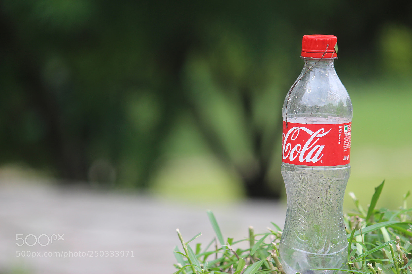 Canon EF-S 55-250mm F4-5.6 IS II sample photo. Img photography