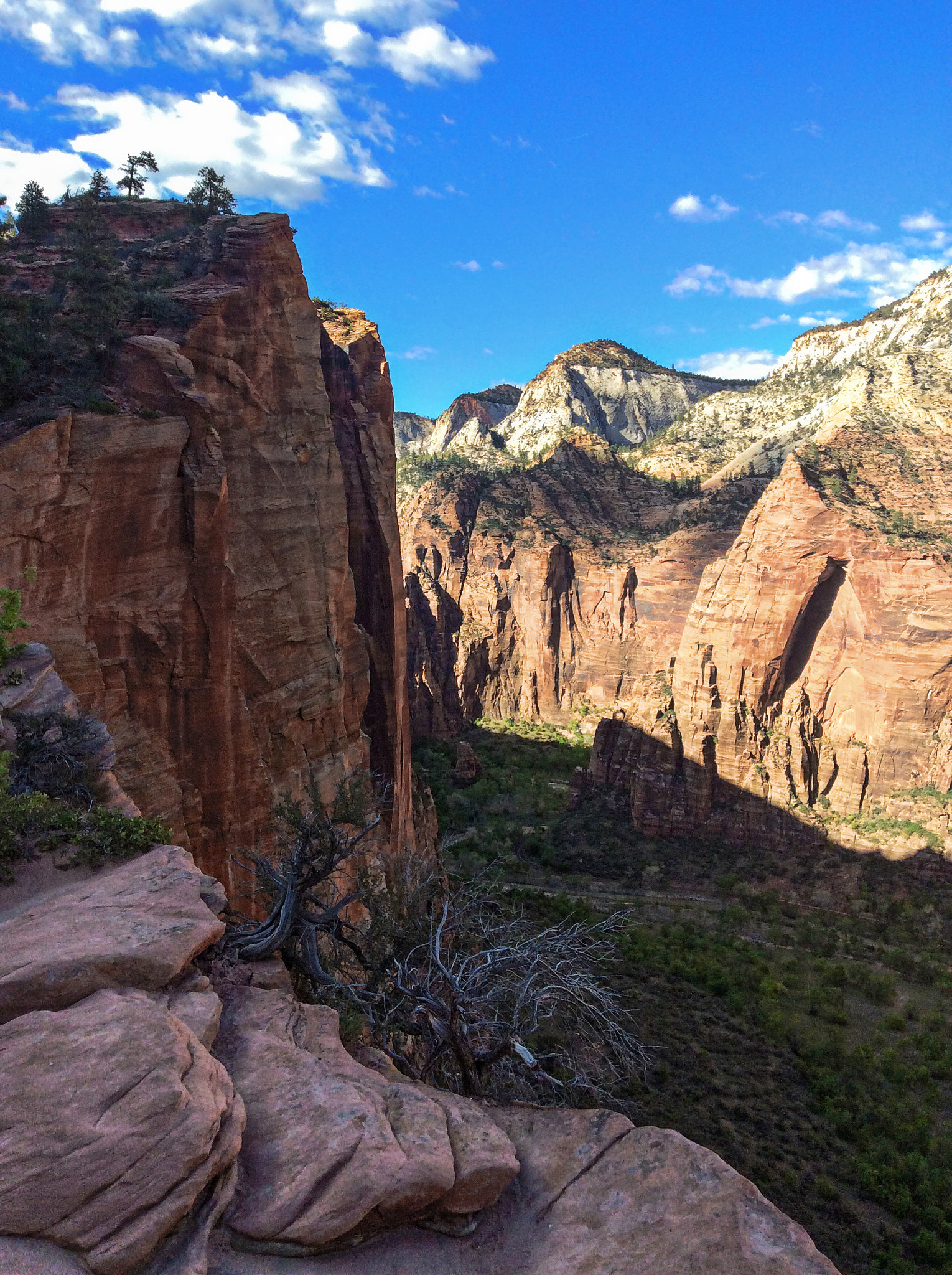 Apple iPad mini sample photo. Zion national park. photography
