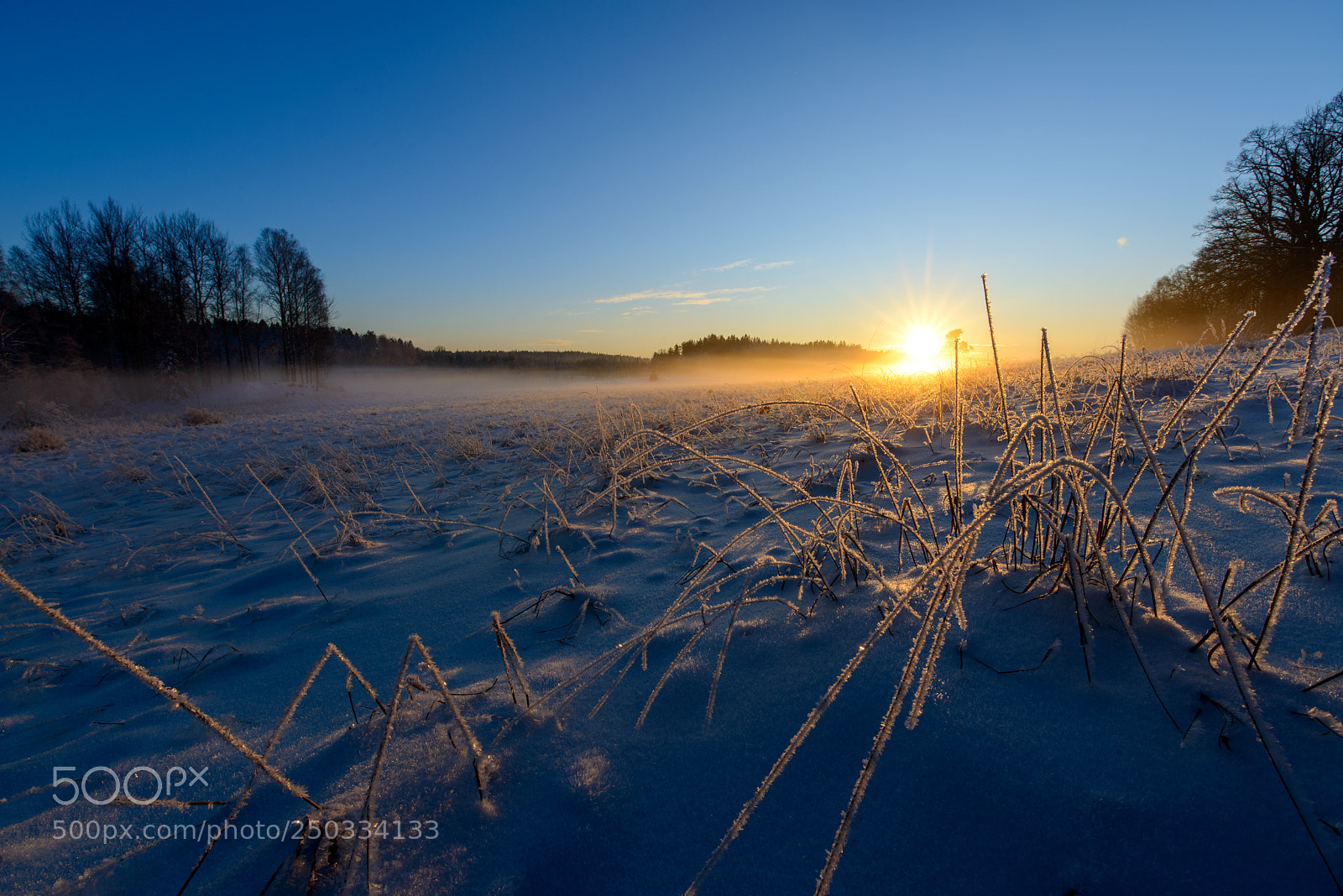Nikon D800E sample photo. Sunset in wolf country photography