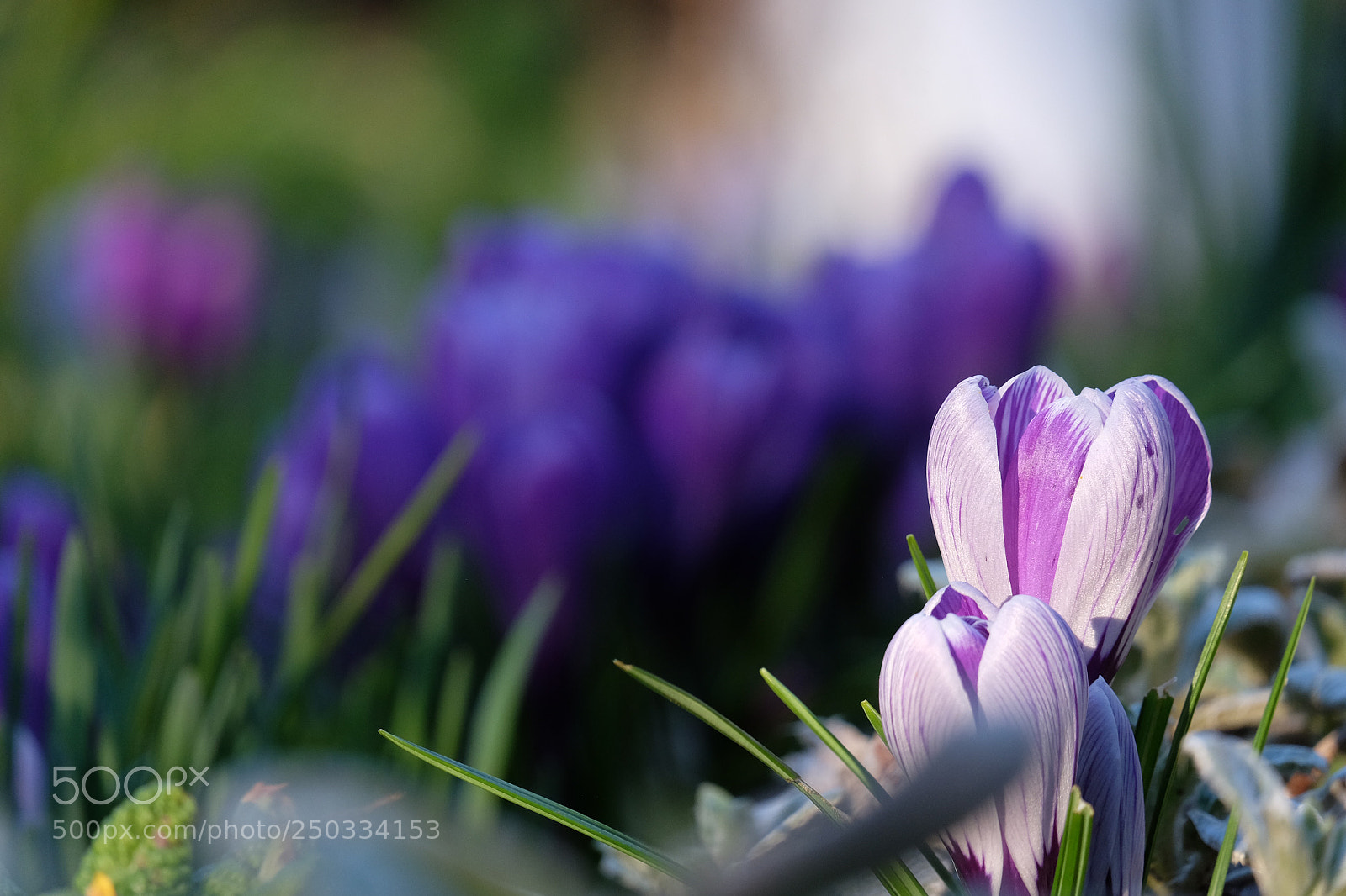 Fujifilm X-T1 sample photo. Untitled photography