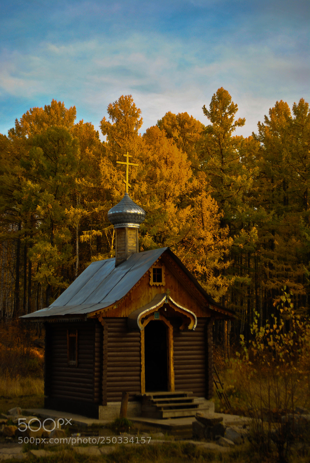 Nikon D3000 sample photo. Gold of russian autumn photography