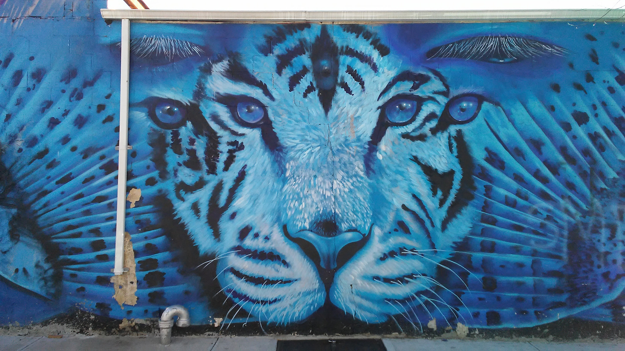 LG K10 sample photo. Street art photography