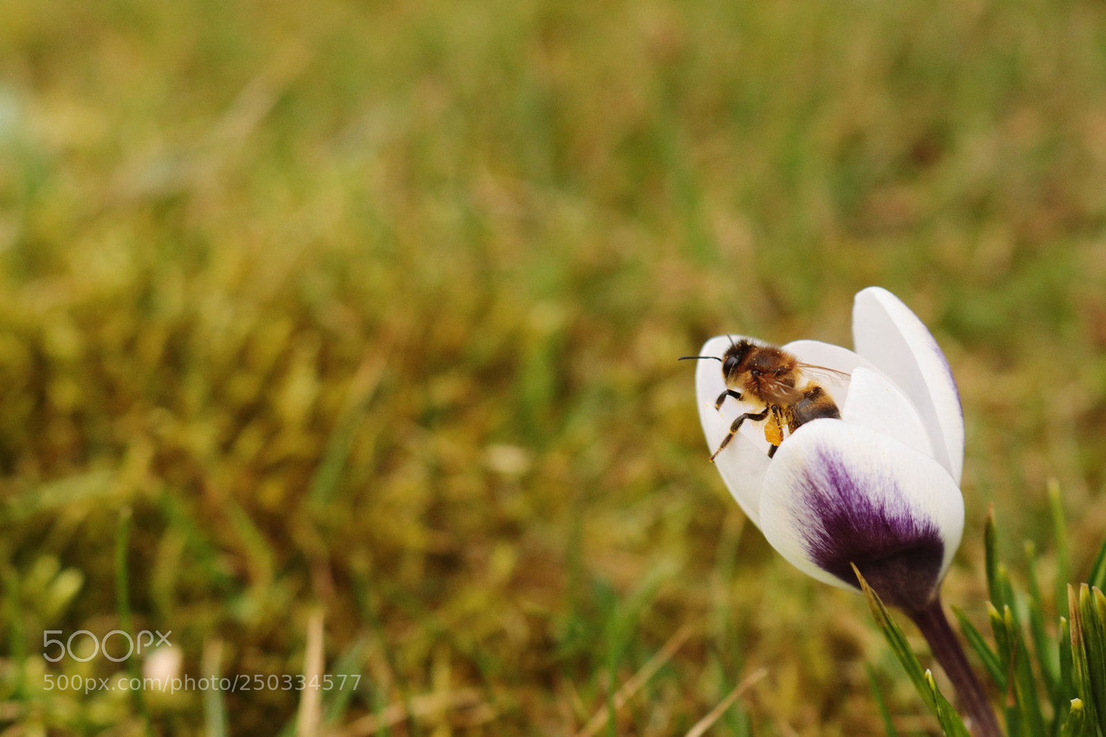Canon EOS 80D sample photo. Untitled photography