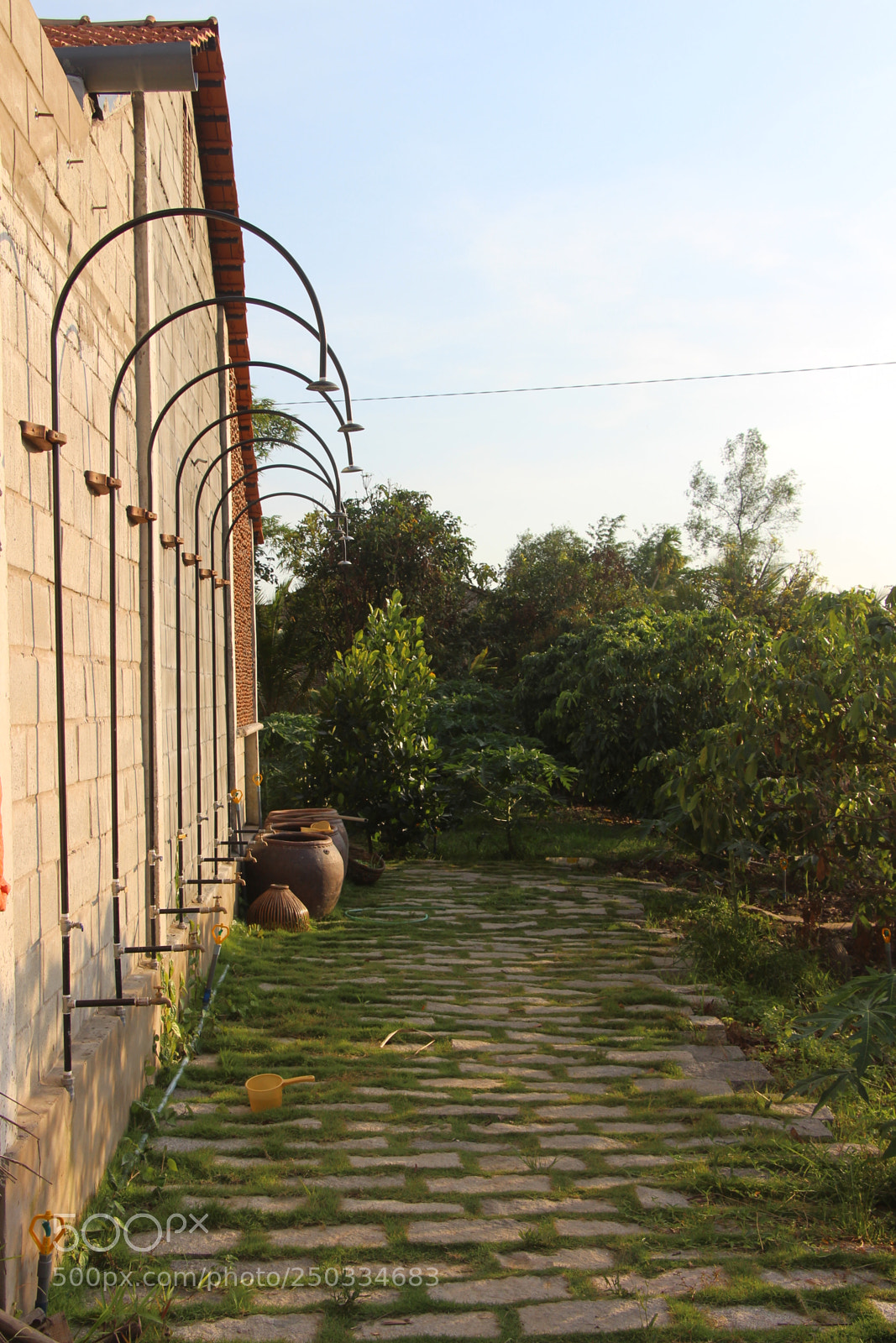 Canon EOS 700D (EOS Rebel T5i / EOS Kiss X7i) sample photo. Img photography