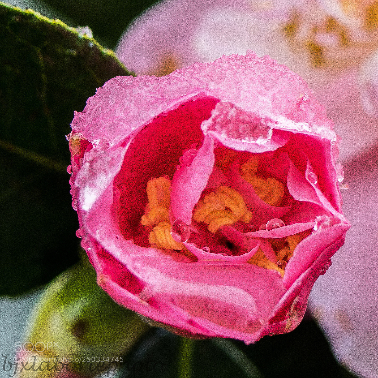 Canon EOS 760D (EOS Rebel T6s / EOS 8000D) sample photo. Inside!!! photography