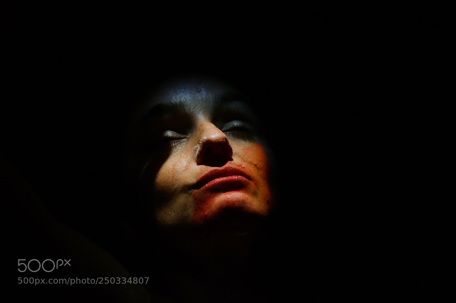 Nikon D500 sample photo. Elegia de los andes photography