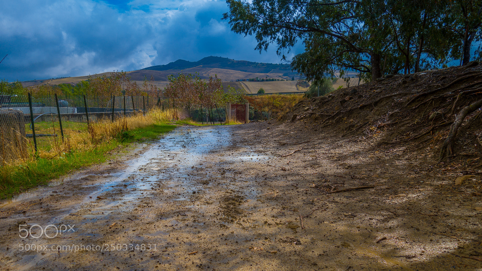 Sony Cyber-shot DSC-RX100 II sample photo. Inverno siciliano photography