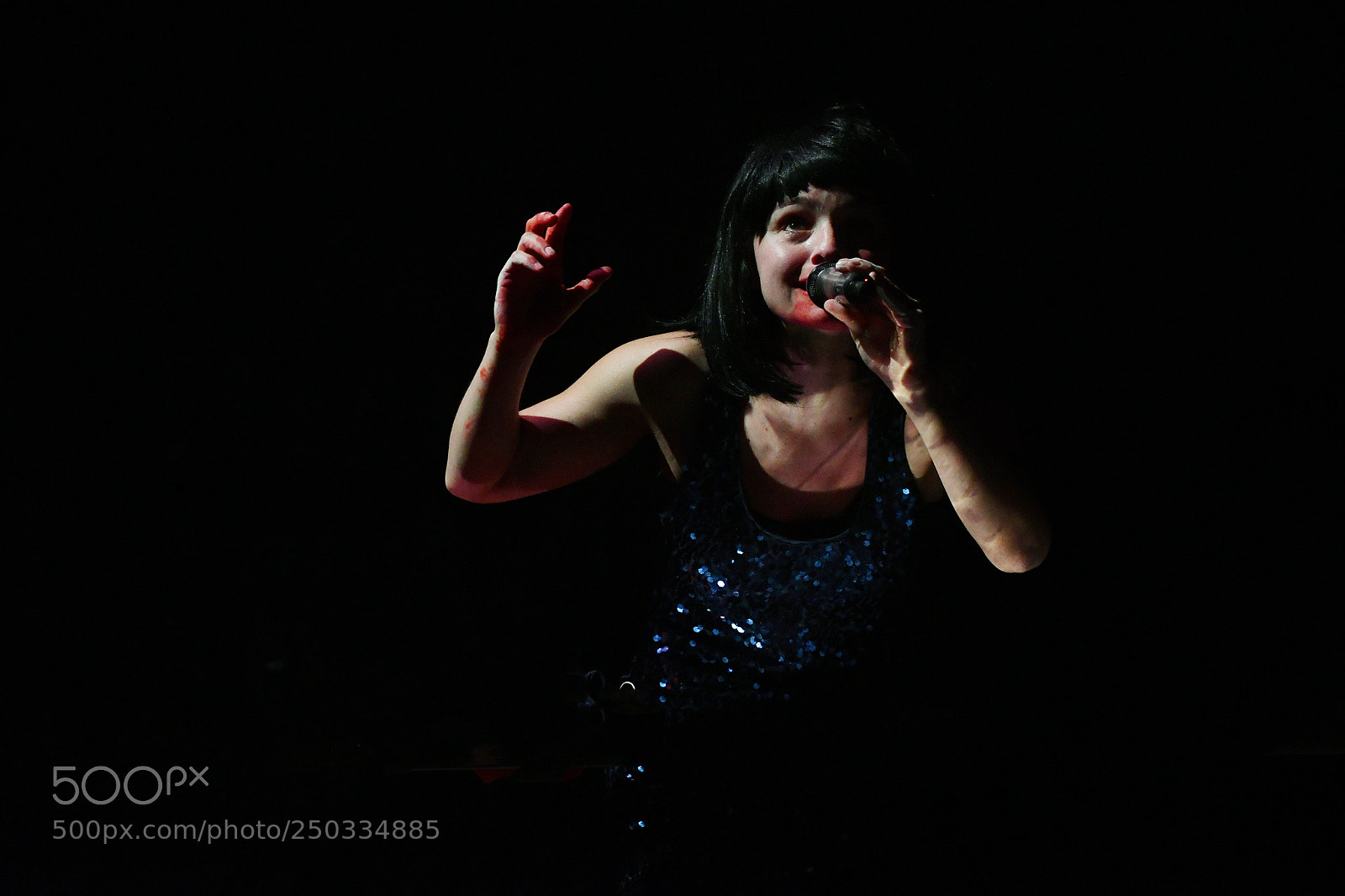 Nikon D500 sample photo. Elegia de los andes photography