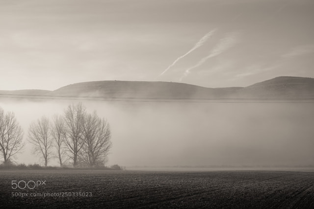 Fujifilm X-T1 sample photo. Campos de niebla photography