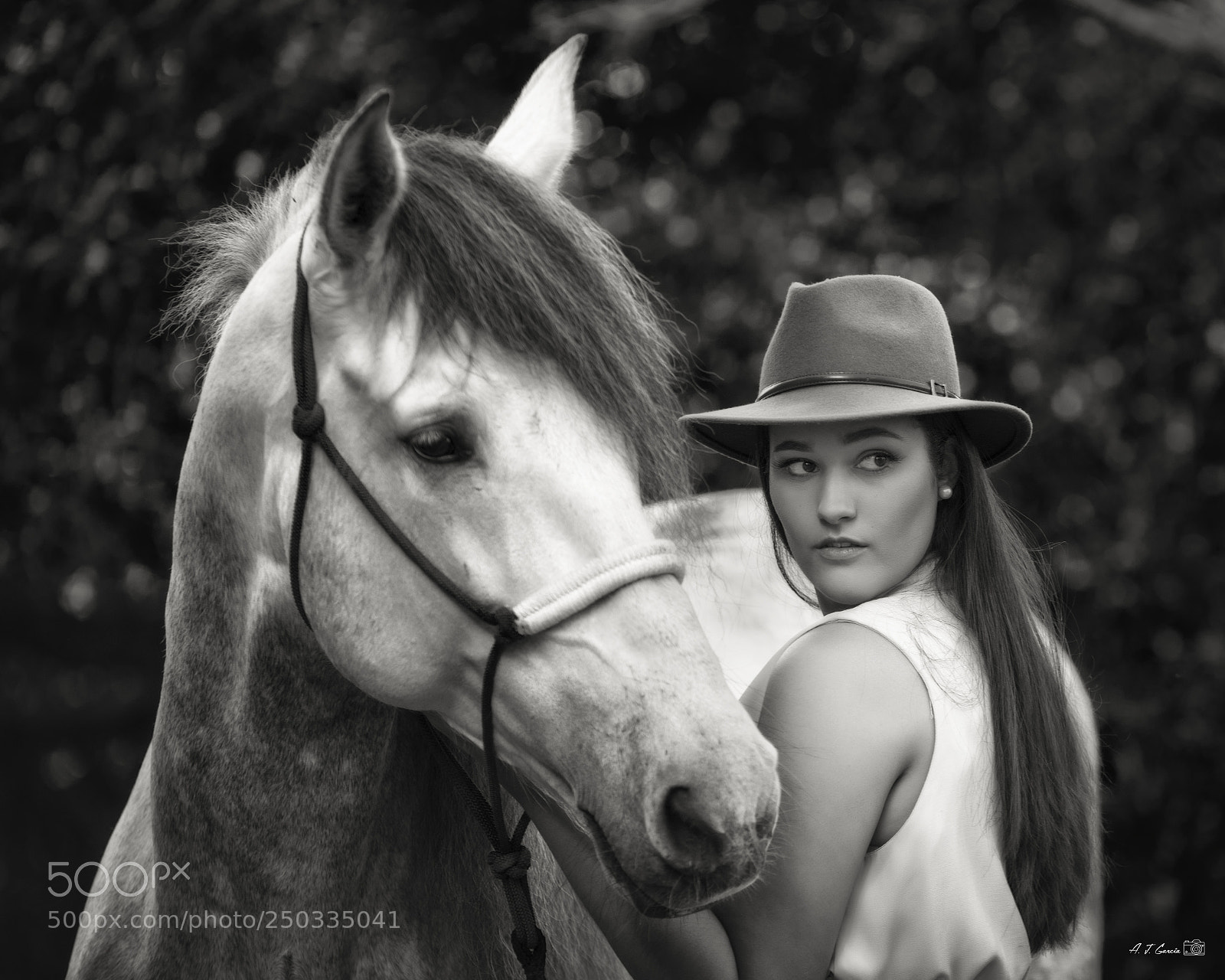 Nikon D810 sample photo. Untitled photography