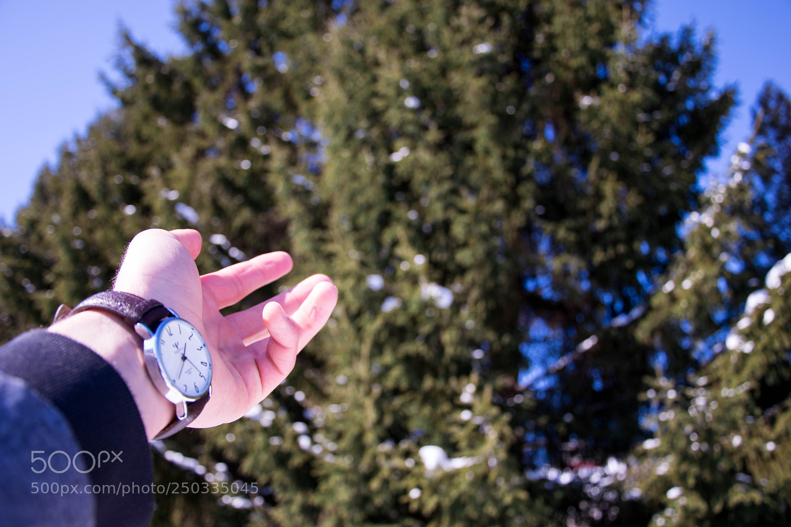 Nikon D5300 sample photo. Untitled photography