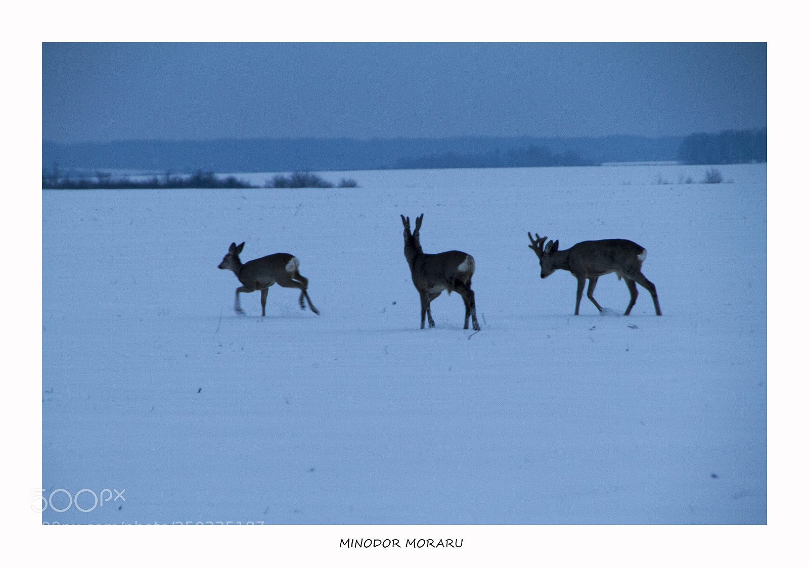 Canon EOS 7D sample photo. This little one, can photography