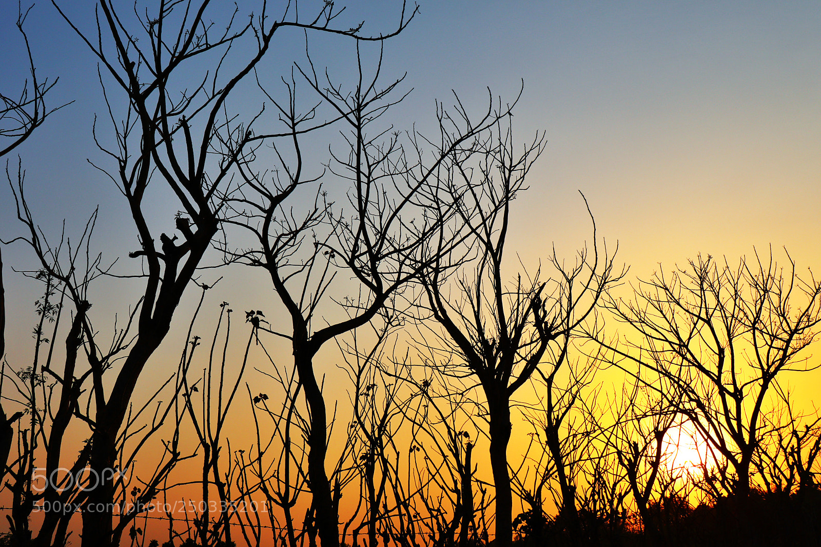 Canon EOS 200D (EOS Rebel SL2 / EOS Kiss X9) sample photo. A beautiful sunset behind photography