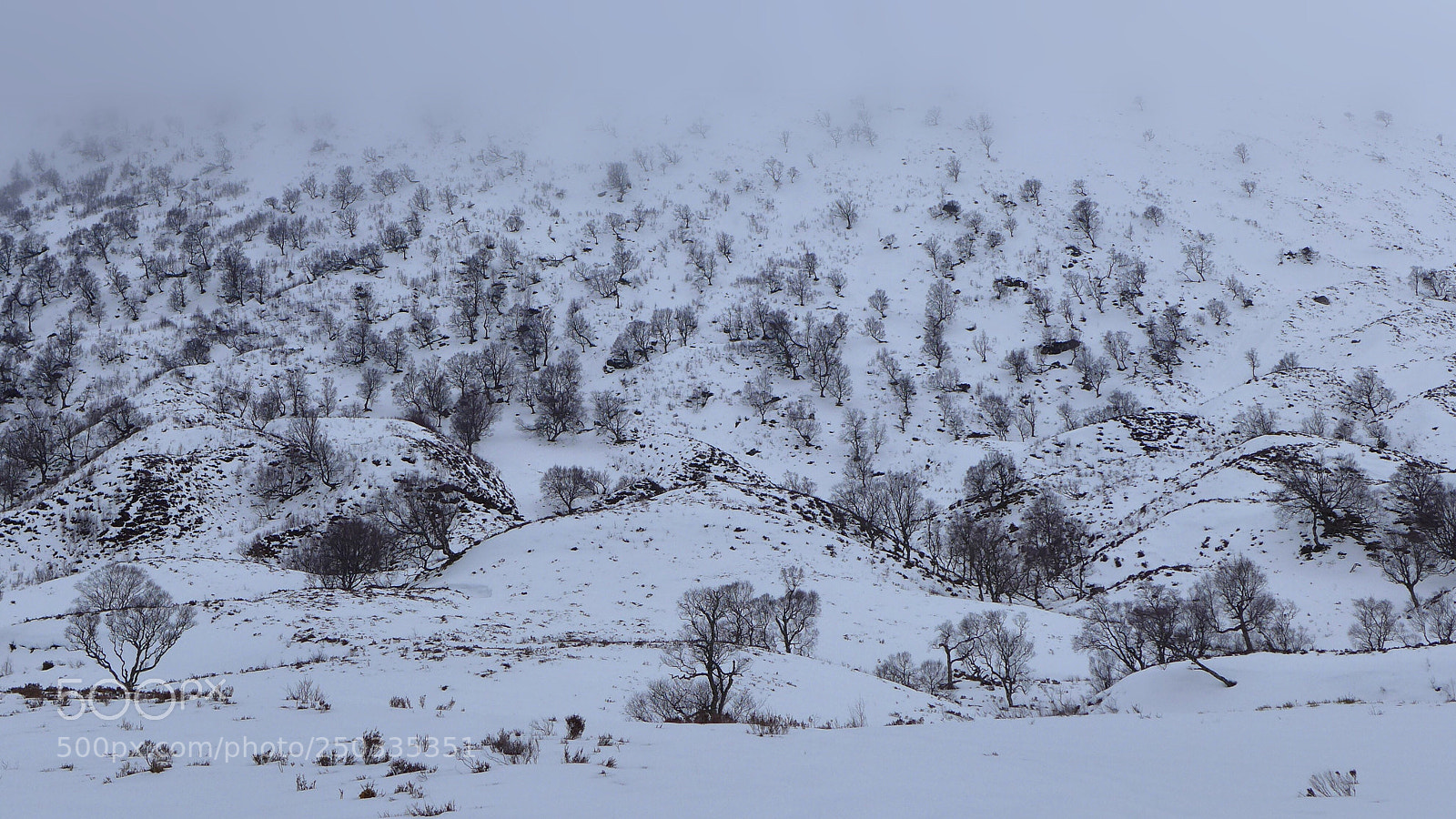 Panasonic Lumix DMC-LX7 sample photo. The vanishing mountain photography