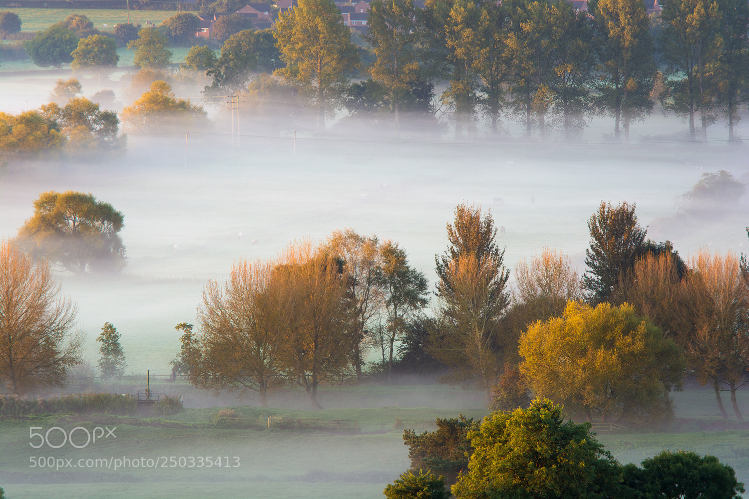 Nikon D7100 sample photo. Colours of autumn photography