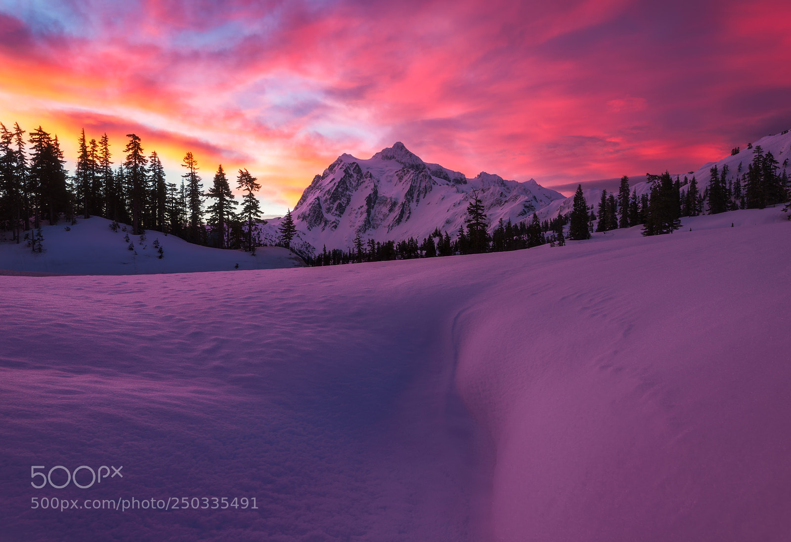 Nikon D800 sample photo. Mount shuksan sunrise- last photography