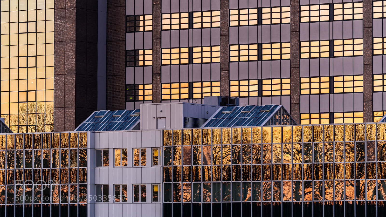 Sony a7R II sample photo. Sonnenfenster photography
