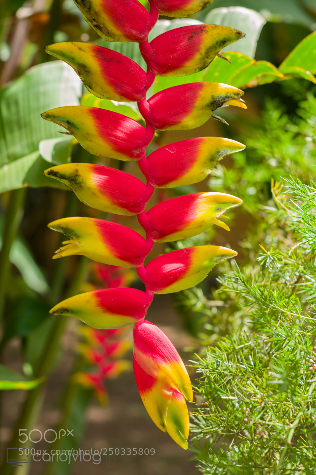 Nikon D3400 sample photo. Dsc photography