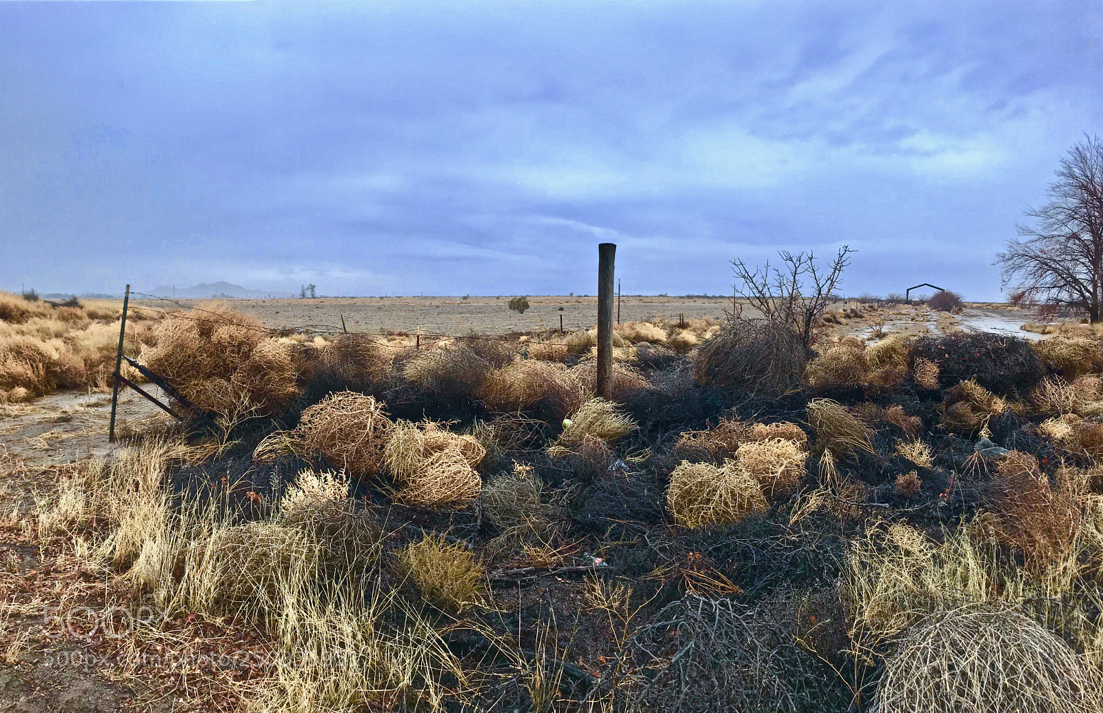 Apple iPhone 7 sample photo. Tumble weed factory photography