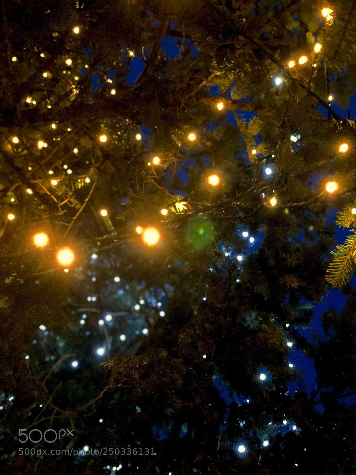 Apple iPhone X sample photo. Lights photography