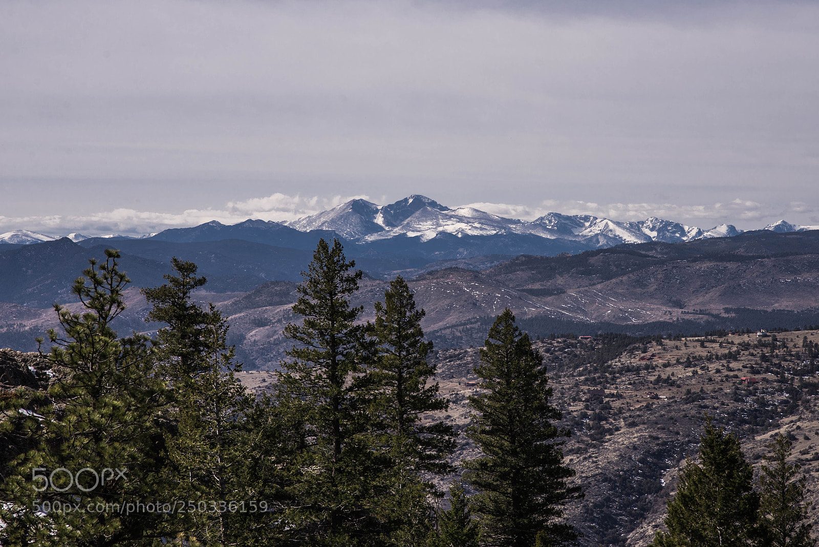 Nikon D610 sample photo. Snowcapped photography
