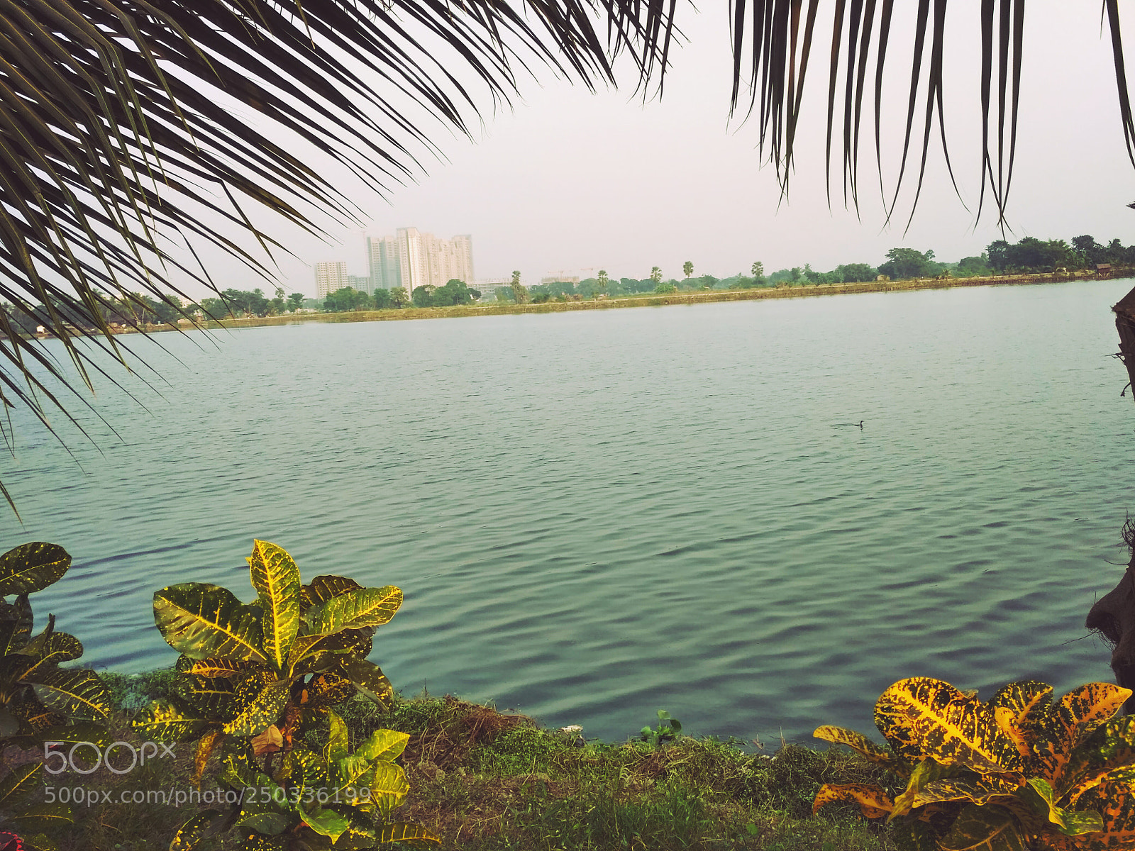 Xiaomi Redmi 3S sample photo. Untitled photography