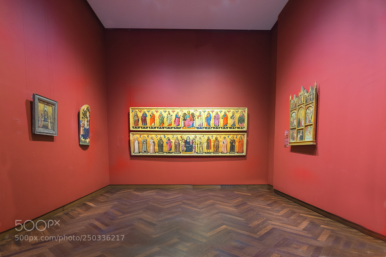 Fujifilm X-T1 sample photo. Paint gallery / germany photography