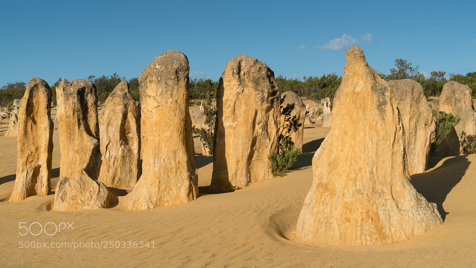 Sony a7R II sample photo. Nambung national park, western photography
