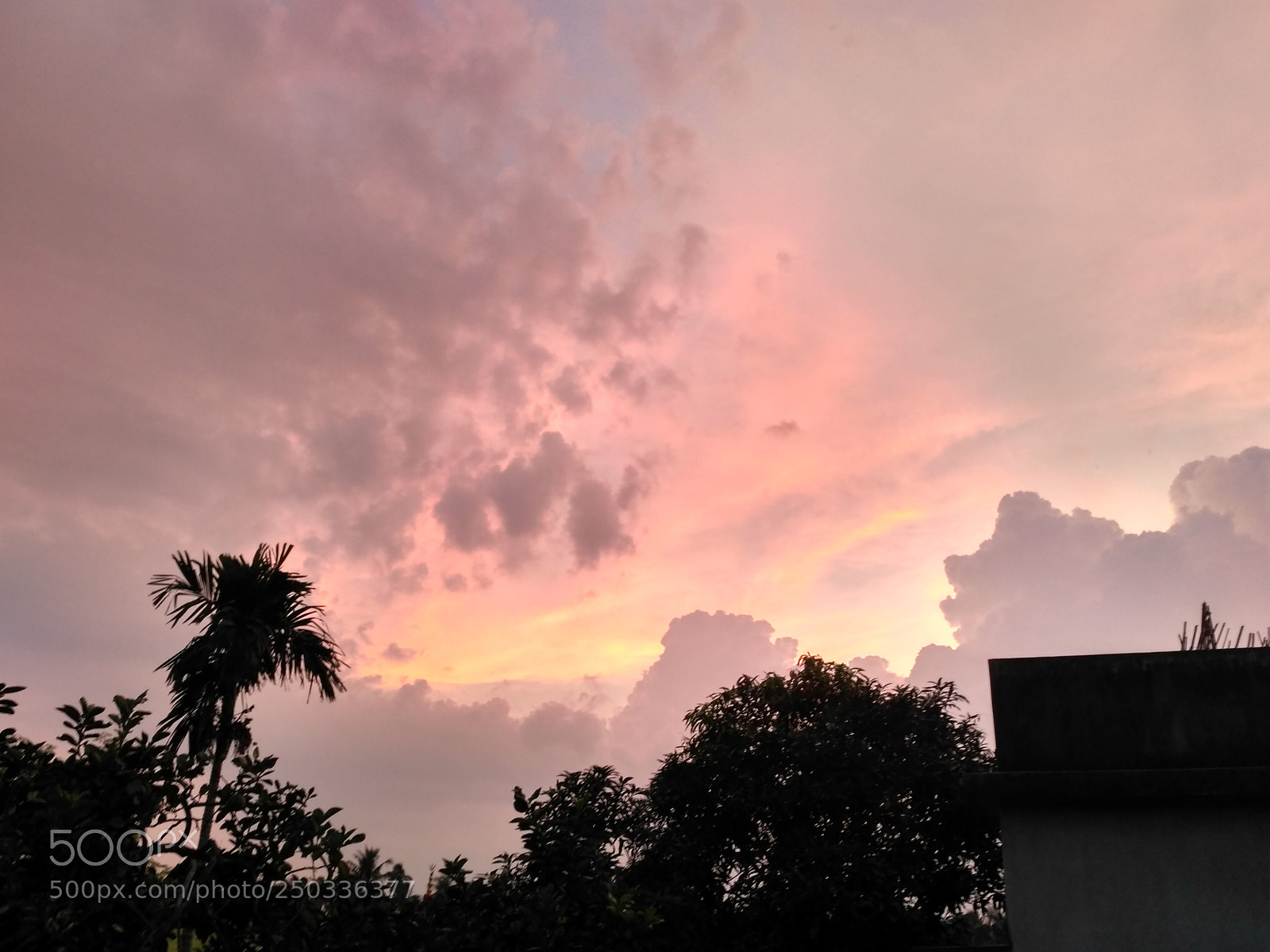 Xiaomi Redmi 3S sample photo. Untitled photography