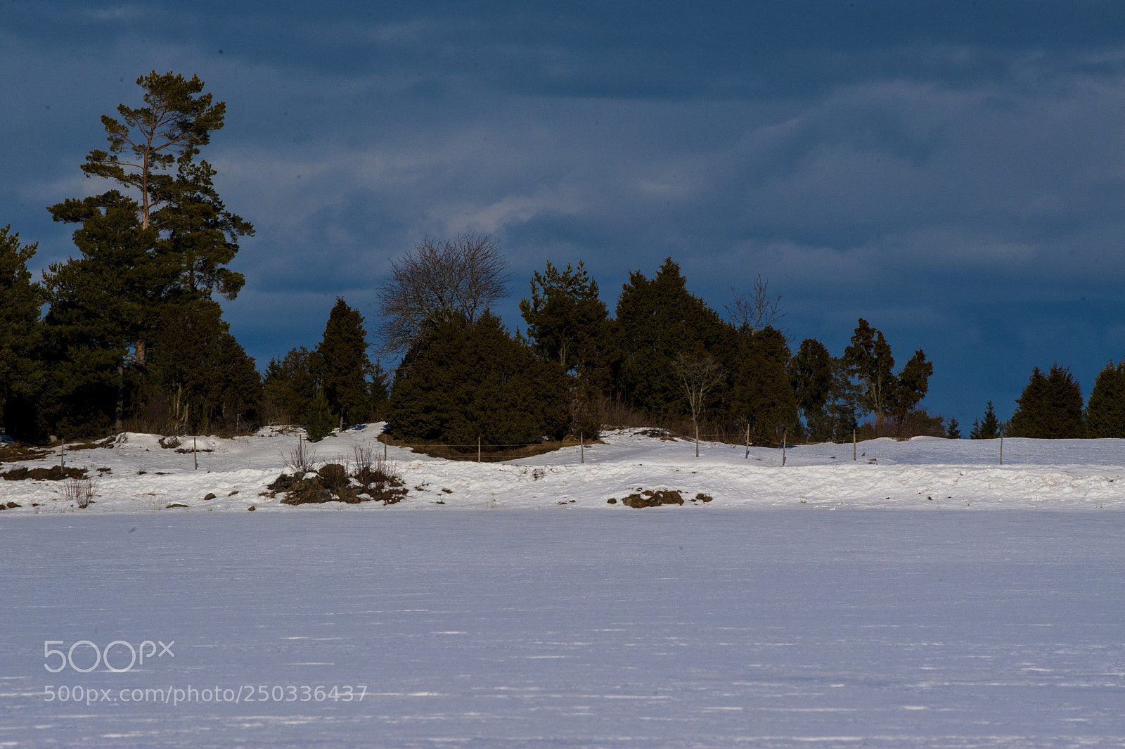 Nikon D700 sample photo. A landscape full of photography