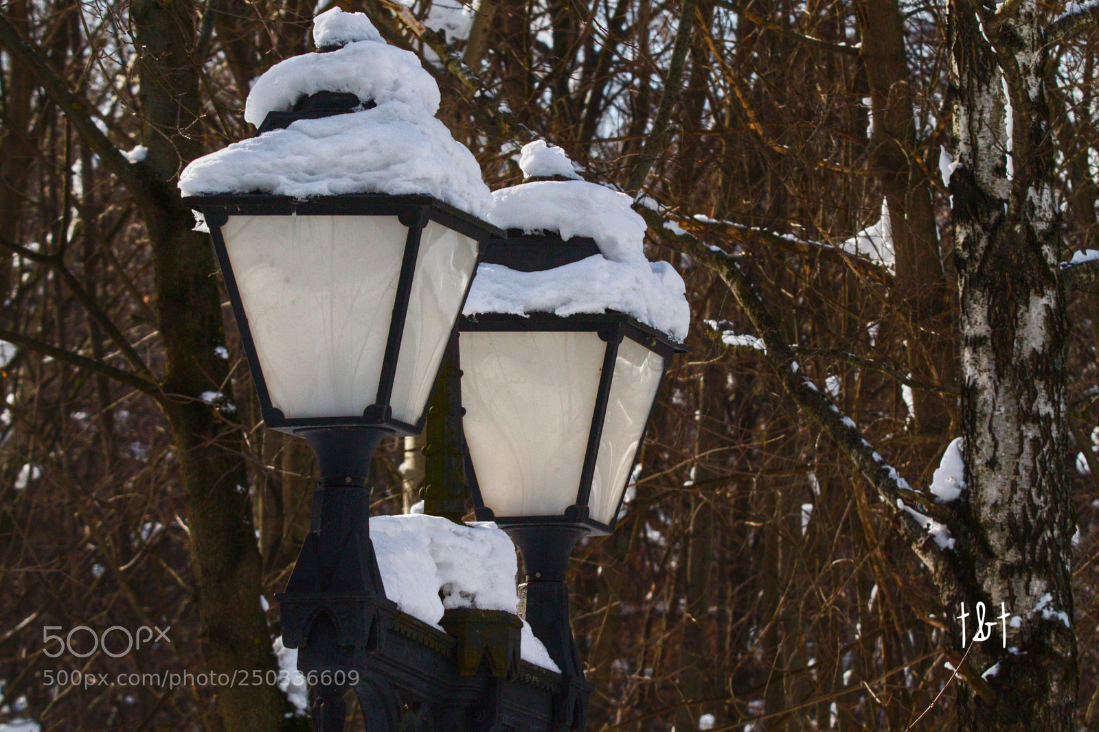 Canon EOS 7D sample photo. Untitled photography