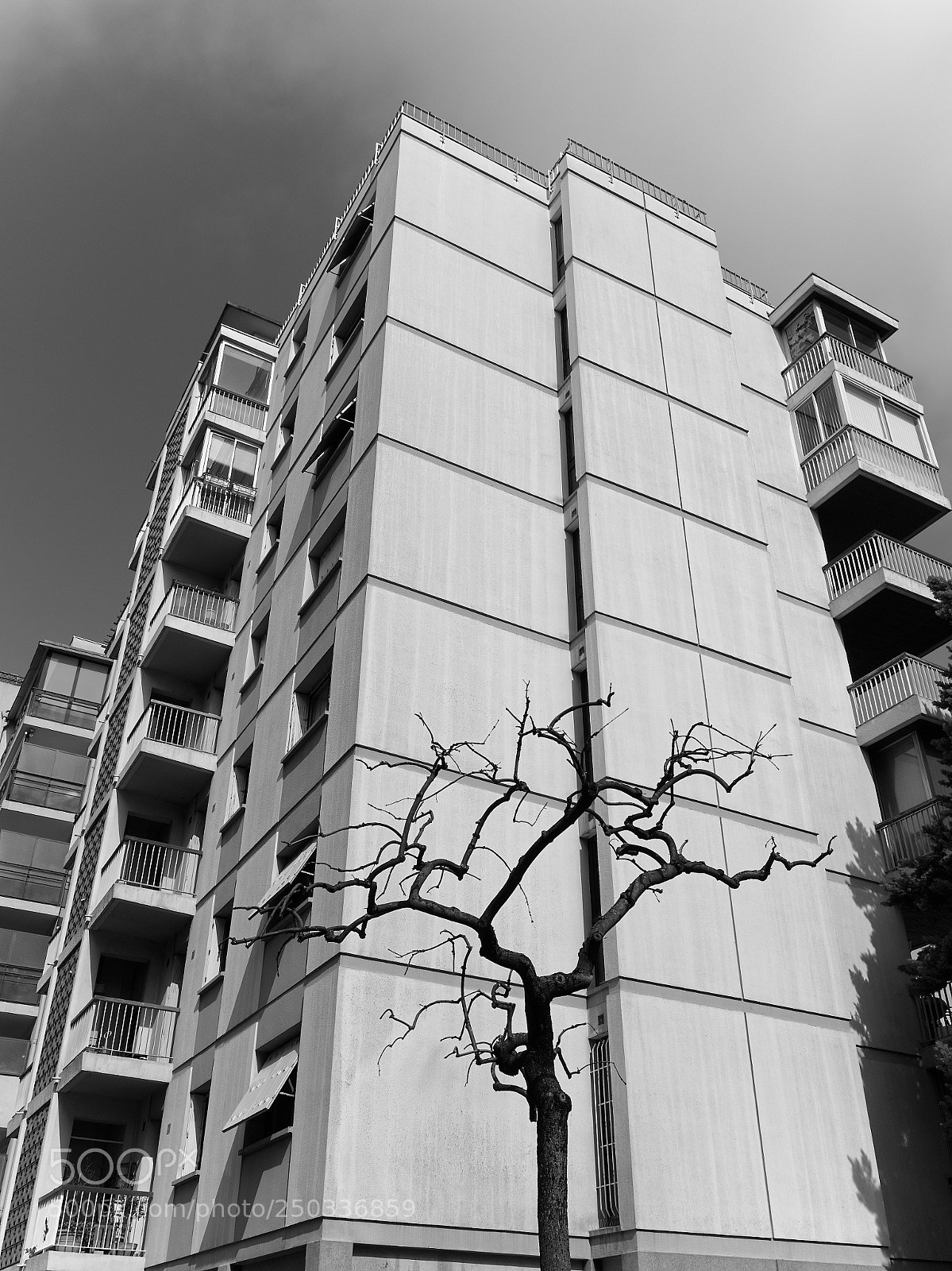 Panasonic Lumix DC-GH5 sample photo. *** photography