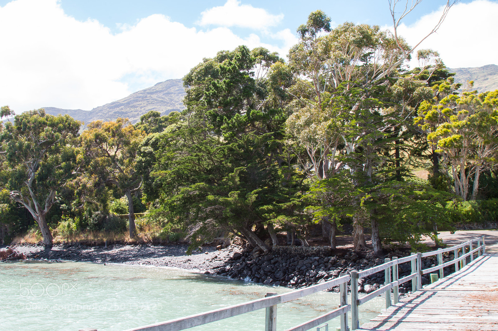 Canon EOS 70D sample photo. Pigeon bay jetty & walkway photography