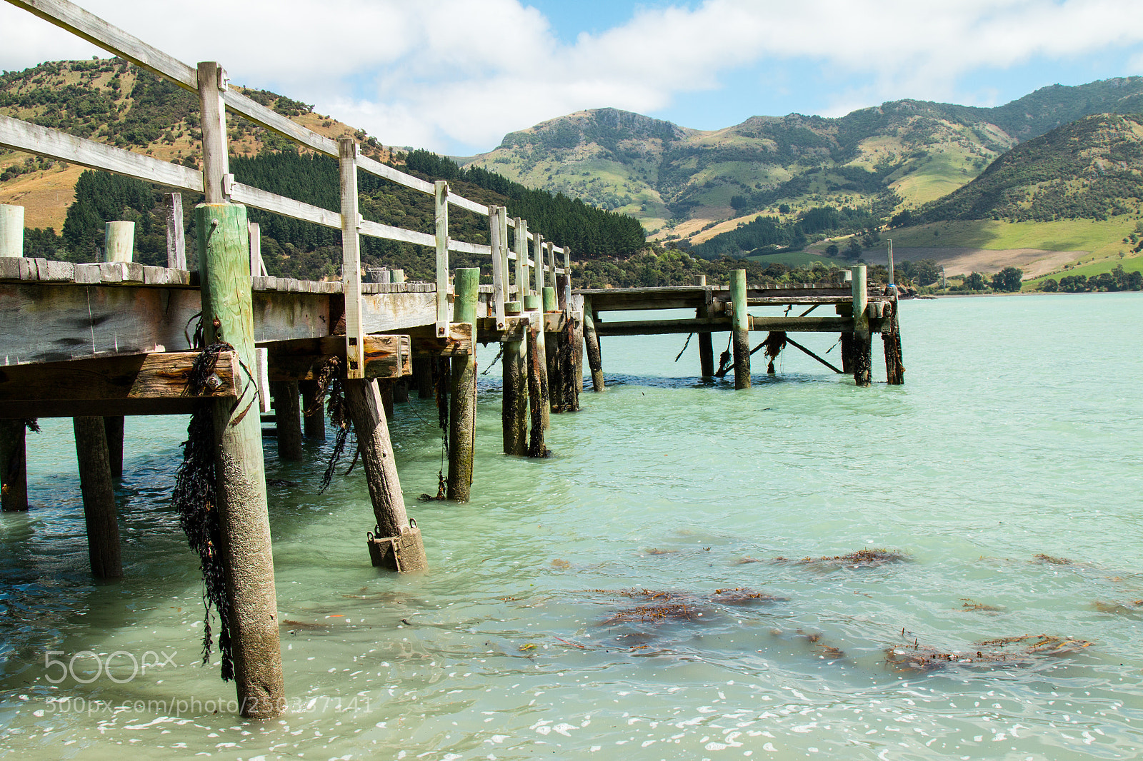 Canon EOS 70D sample photo. Pigeon bay jetty legs photography
