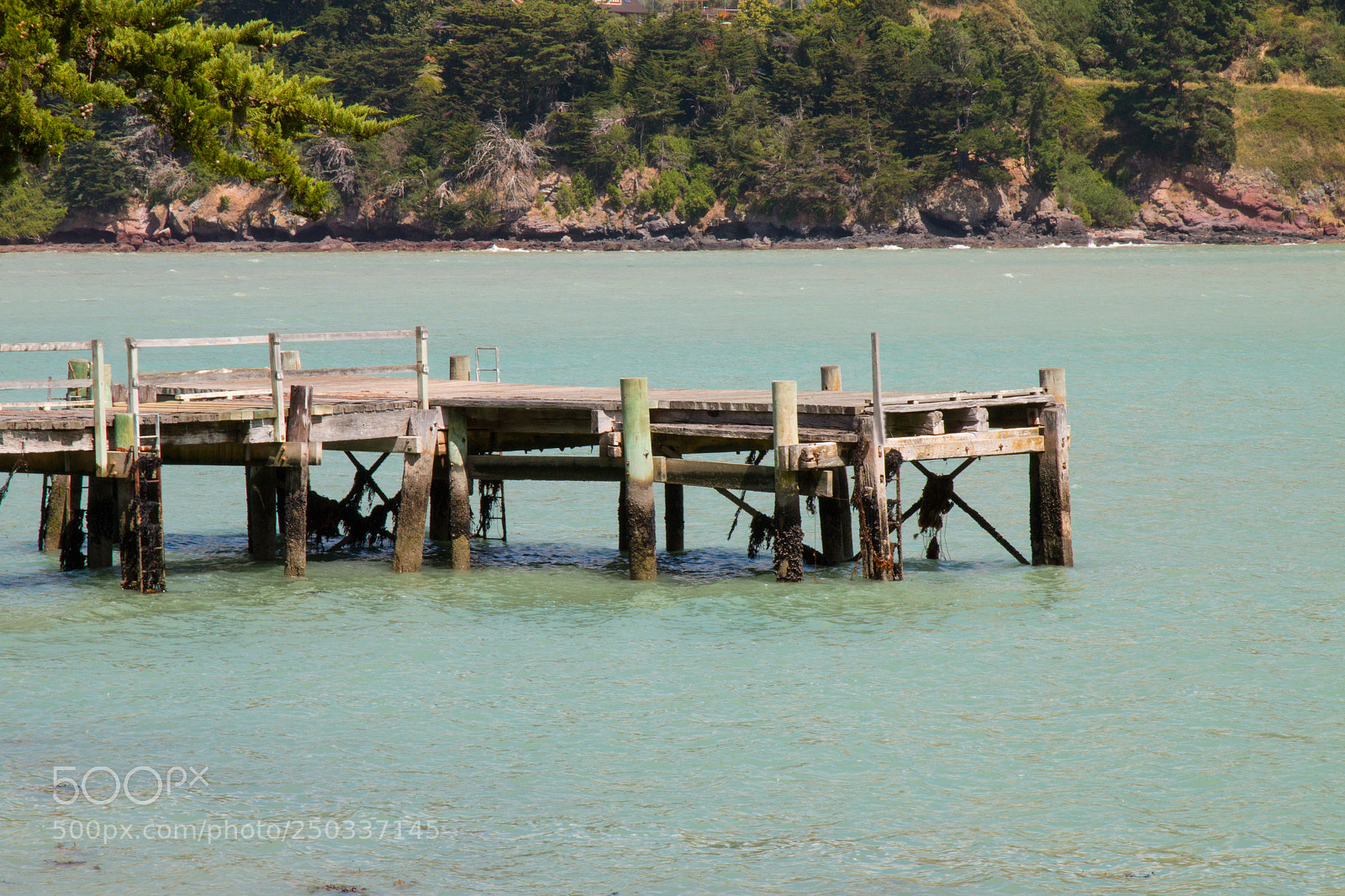 Canon EOS 70D sample photo. Pigeon bay jetty head photography