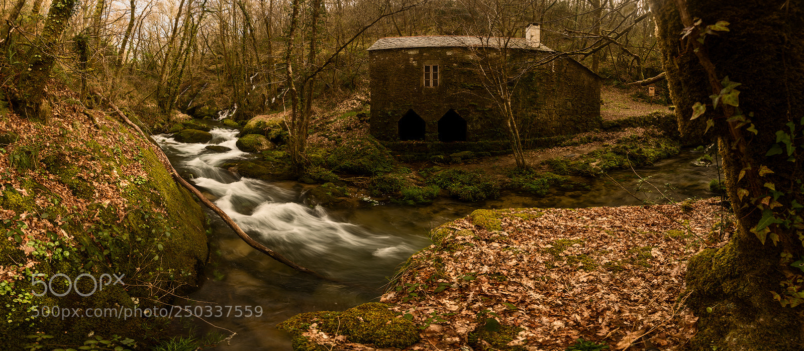 Nikon D800 sample photo. Molino en su entorno photography