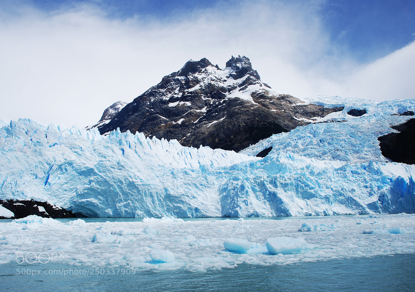 Nikon D80 sample photo. Ice ice baby photography