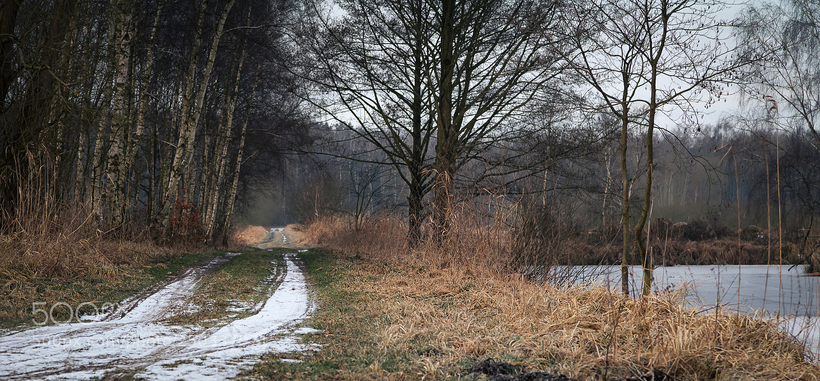 Canon EOS 5D Mark II sample photo. End of winter photography