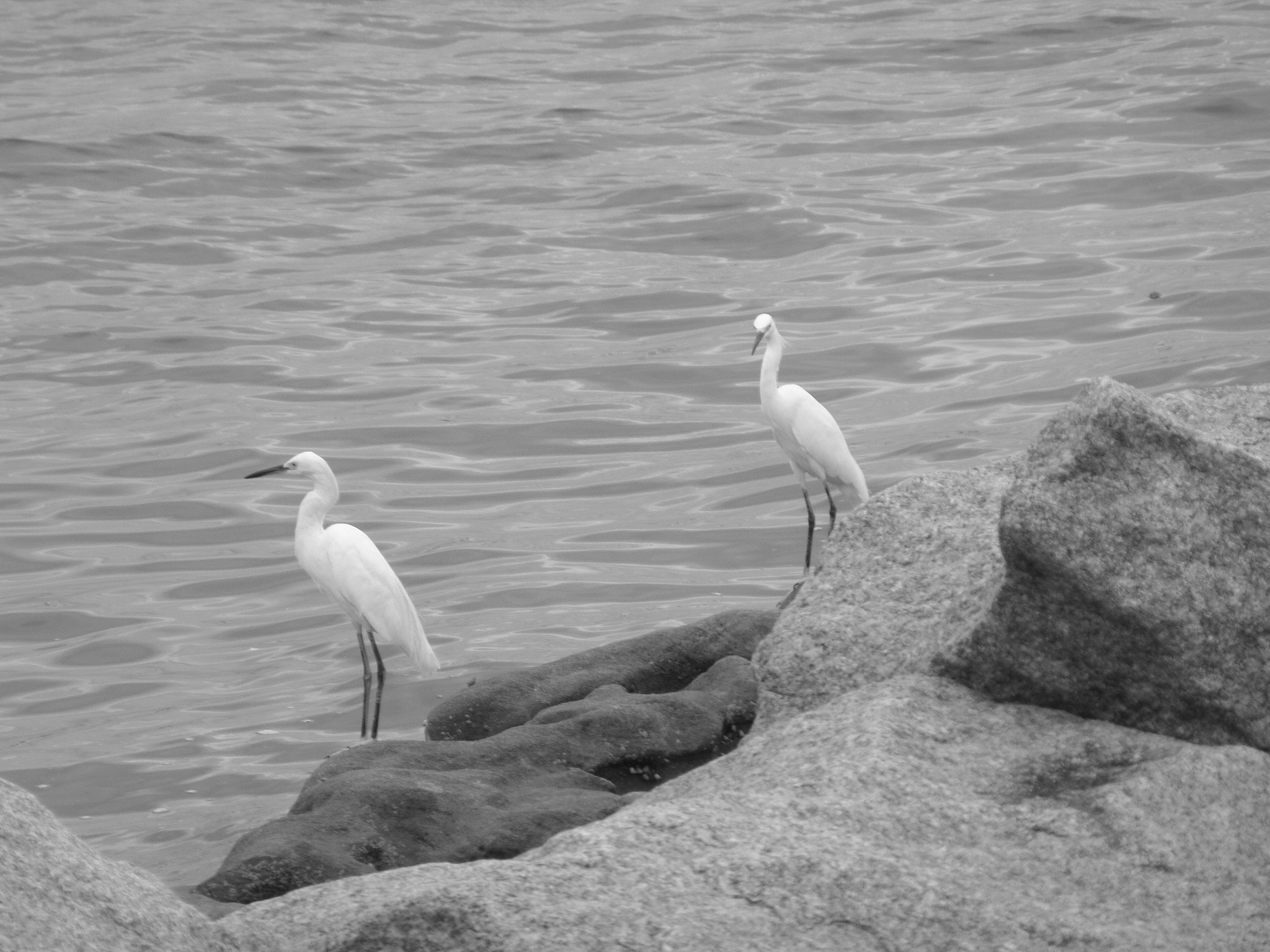 Samsung WB350F/WB351F/WB352F sample photo