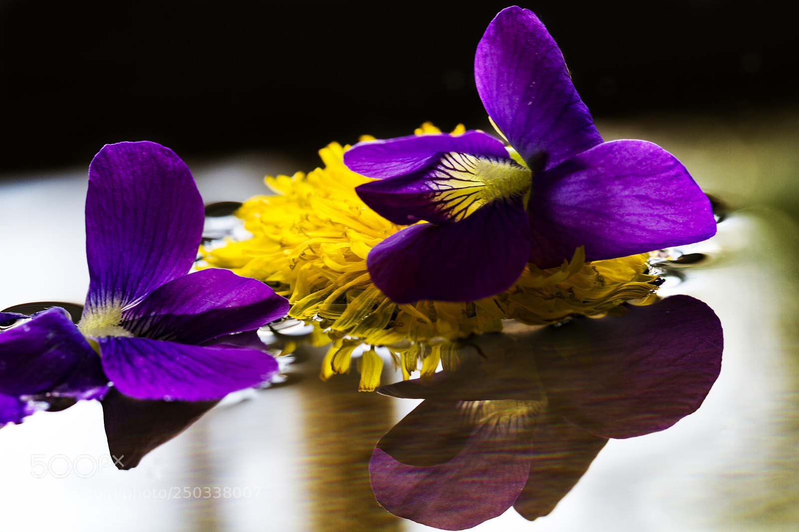 Canon EOS 7D sample photo. Flowers on water photography