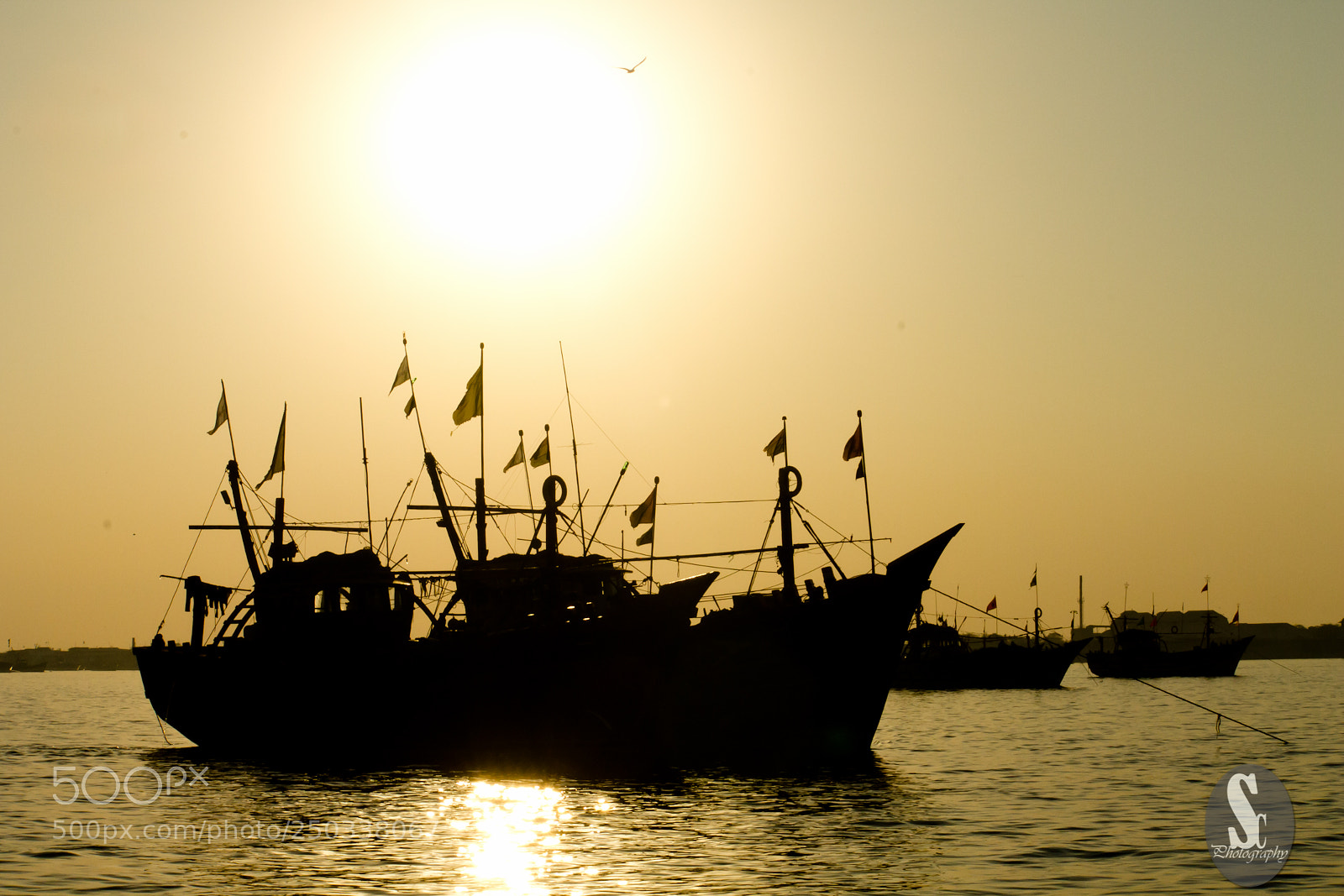 Canon EOS 1100D (EOS Rebel T3 / EOS Kiss X50) sample photo. Boat on arabian sea photography