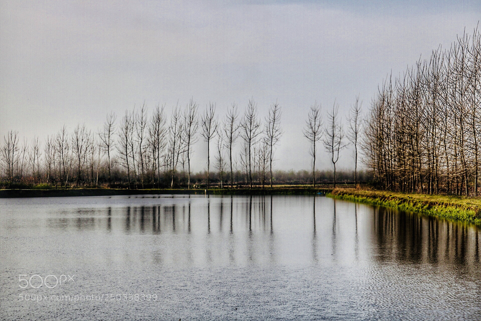 Canon EOS 750D (EOS Rebel T6i / EOS Kiss X8i) sample photo. Lakeside11 photography