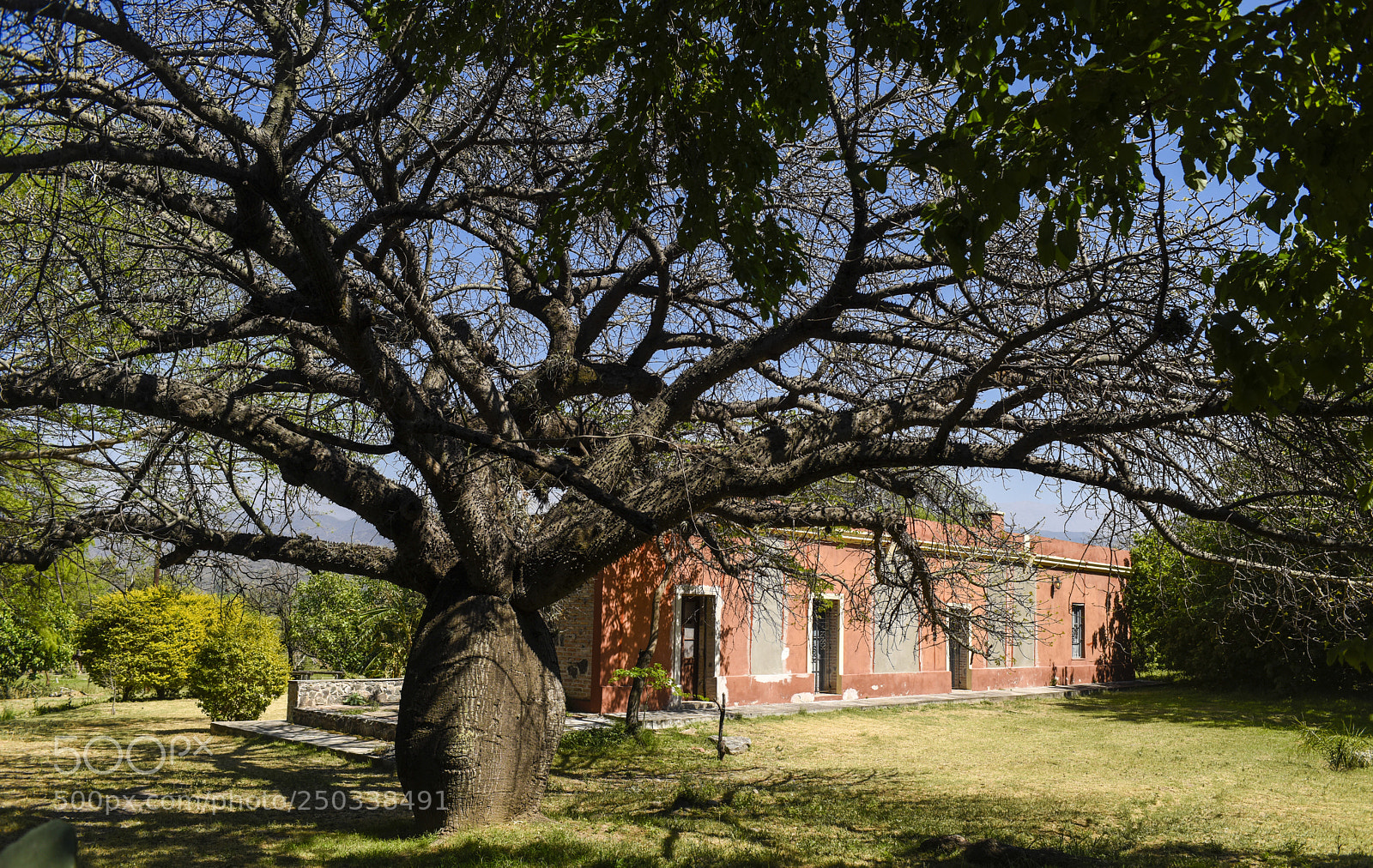 Nikon D810 sample photo. Majestuoso photography