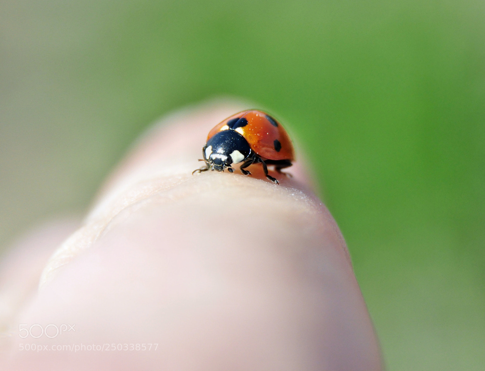 Nikon D90 sample photo. U ur b ce photography