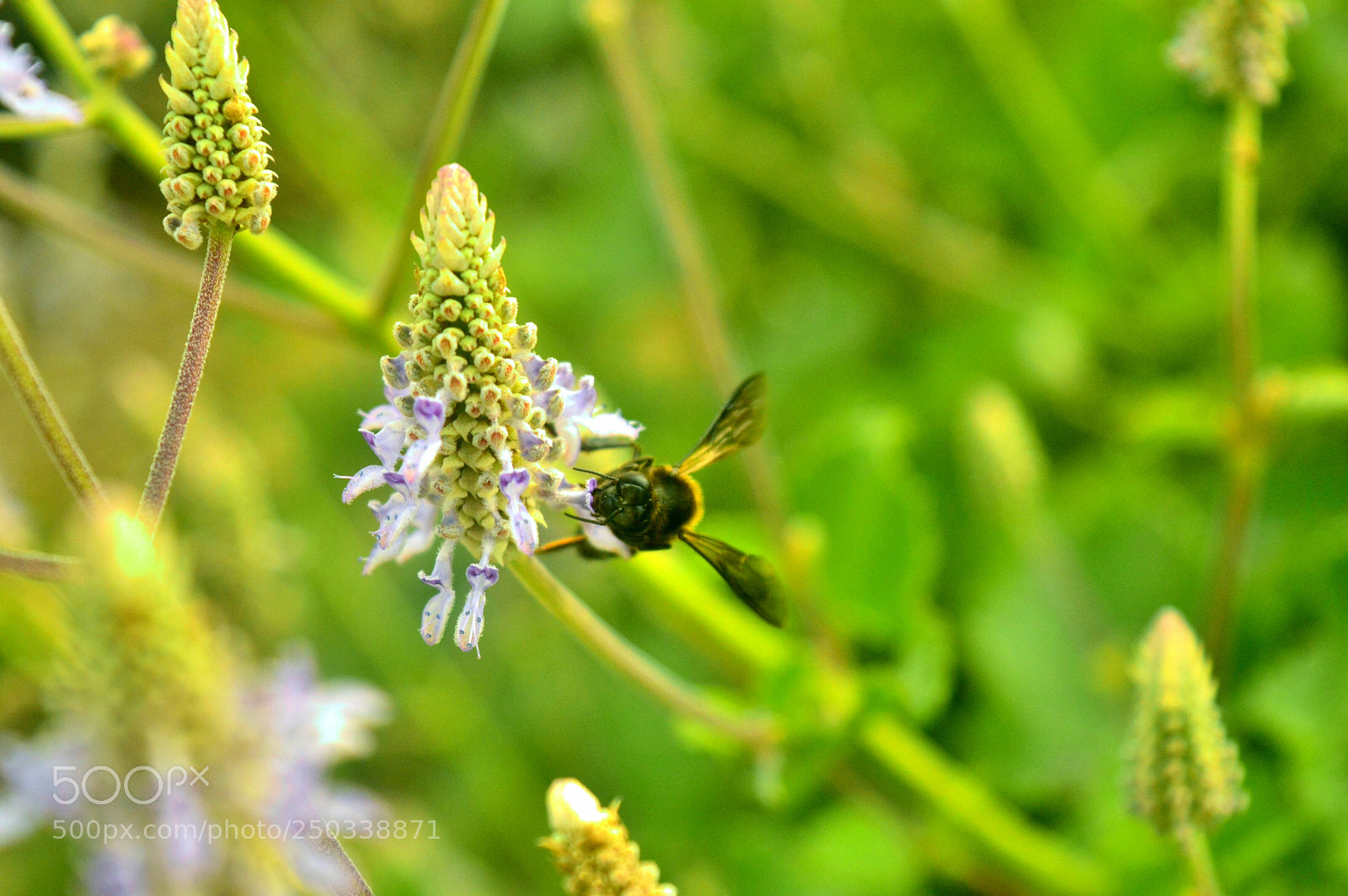Nikon D3200 sample photo. Untitled photography