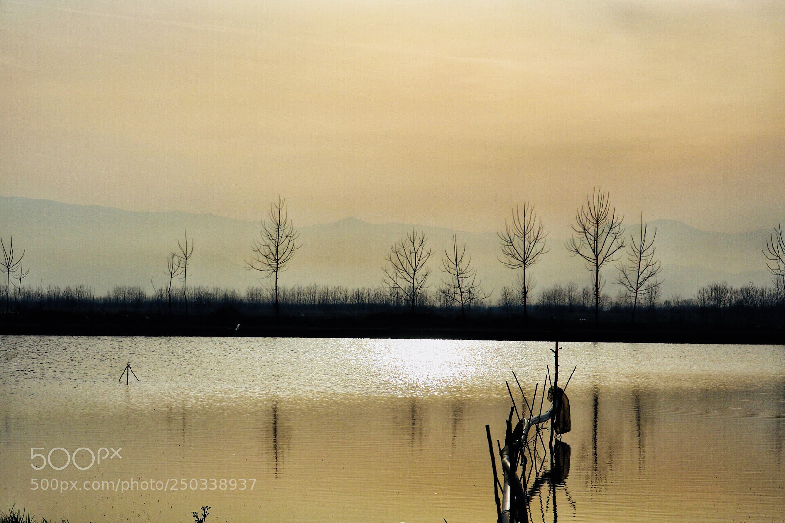 Canon EOS 750D (EOS Rebel T6i / EOS Kiss X8i) sample photo. Lakeside13 photography