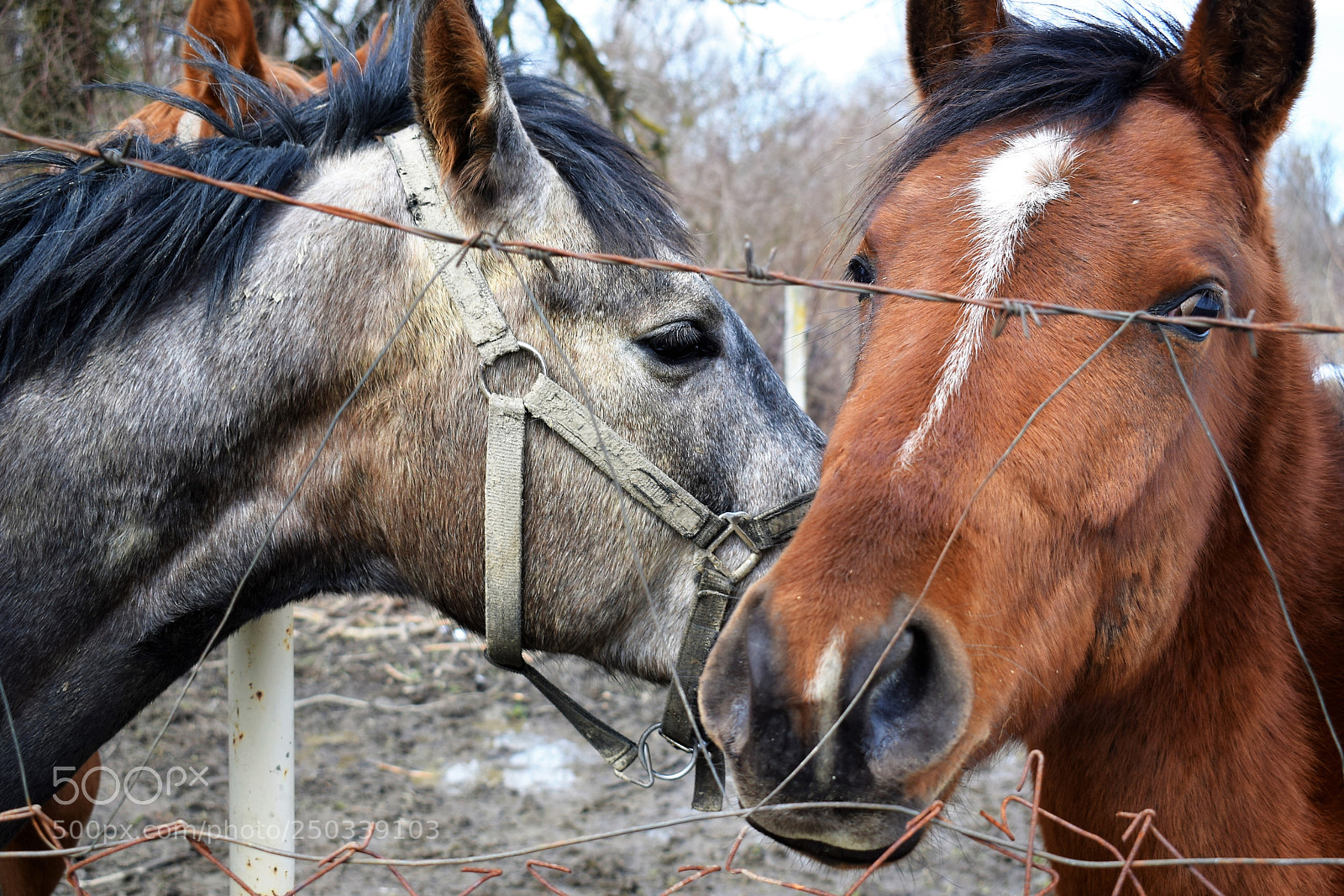 Nikon D5300 sample photo. Untitled photography