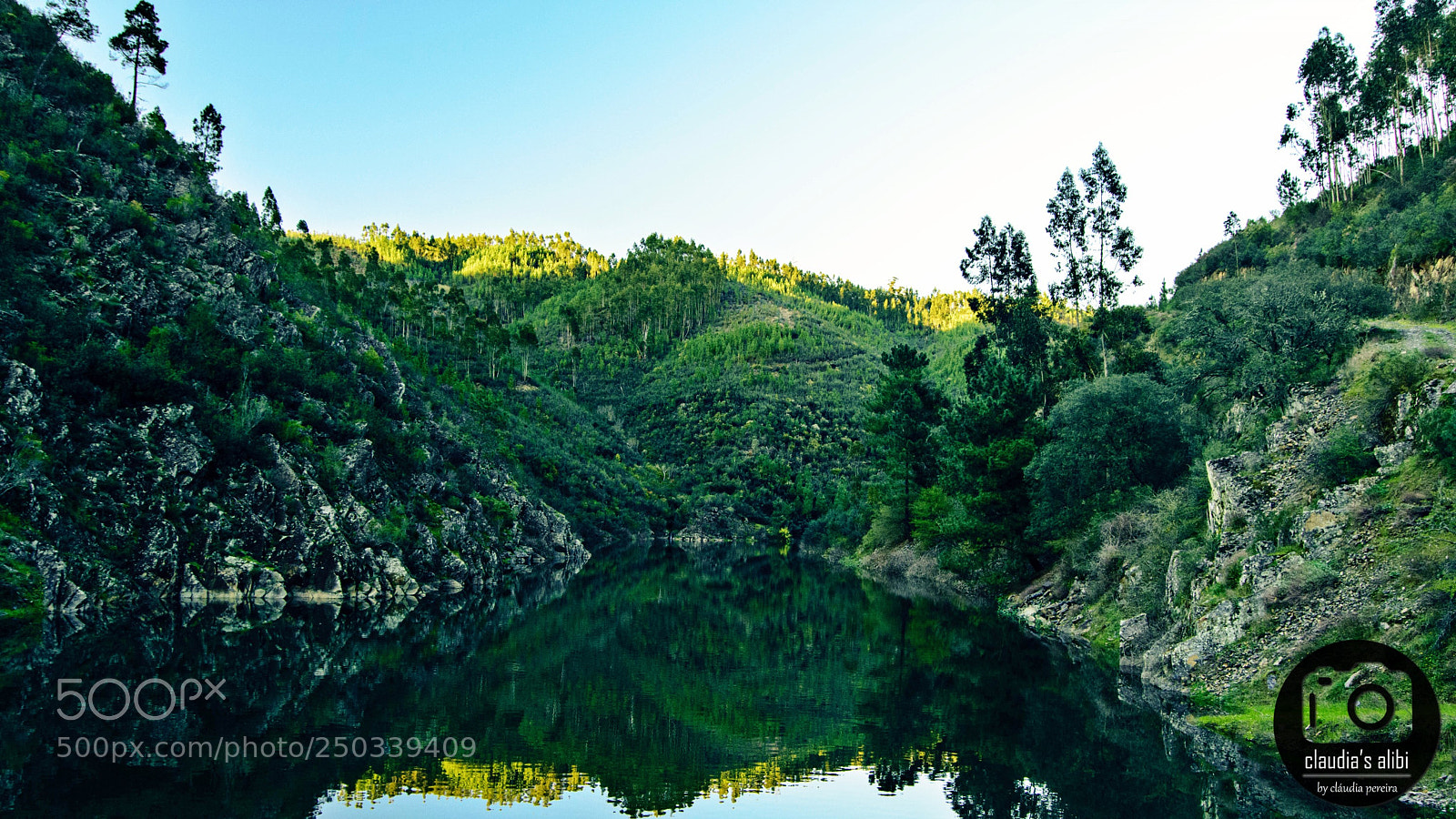Nikon D3300 sample photo. Reflection green photography