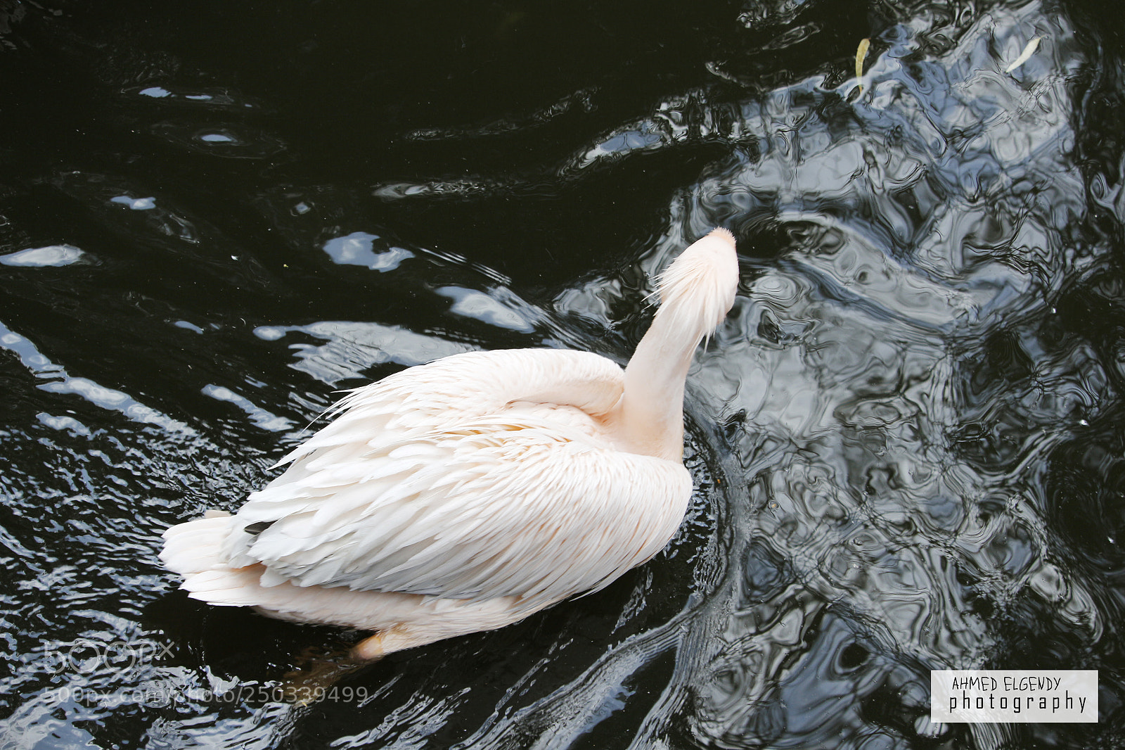 Canon EOS 700D (EOS Rebel T5i / EOS Kiss X7i) sample photo. Untitled photography